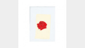 레이니, 미니멀 사운드의 첫앨범 ‘레이니’ 국내발매