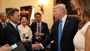 민주당 “文대통령-트럼프 환영만찬에 ‘비빔밥’ 올라…첫 정상회담, ‘정상외교’ 시발점 될 것”