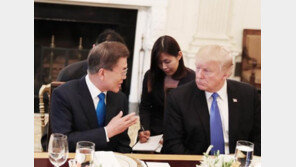 청와대 “문재인-트럼프 대통령 첫 만남은…” SNS에 후기 전해