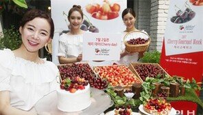 “2일은 체리데이”