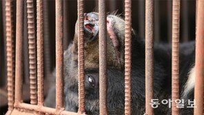 [토요기획]“차라리 죽어서라도… 4㎡ 쇠감옥서 탈출하고 싶어요”