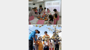 영동군 ‘과일나라 테마공원’ 휴식공간으로 인기