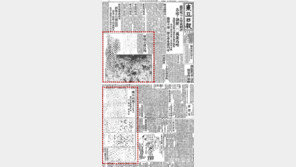 “미친 자의 칼에 적극 맞서… 동아일보의 항거 두드러져”