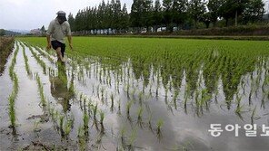 강원 100mm… 장마, 반가움半 걱정半 