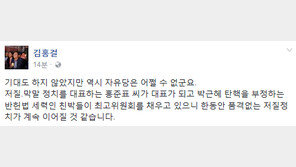 김홍걸 “‘저질·막말’ 홍준표가 당 대표…품격없는 저질정치 이어질 것”