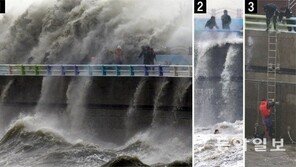 작년 2150억 피해 차바와 경로 비슷?…안전처, 태풍 난마돌 북상에 초긴장