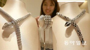 뱀 모티브 주얼리 선보인 ‘불가리’