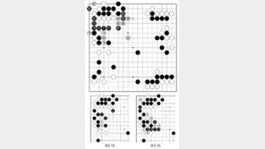 [바둑]알파고 vs 알파고 특선보… 한발 멀리
