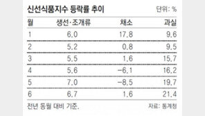 계란 69%, 오징어 62% 급등… 장보기 겁난다