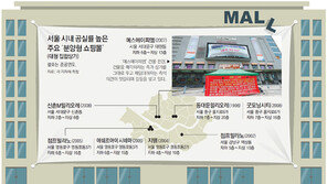 [단독]곳곳 방치된 쇼핑몰… 이곳에 도시재생 활력을