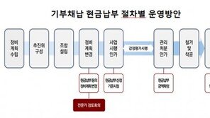 “기부채납 현금도 된다”…서울시, 사업성 개선 및 공공재원 마련