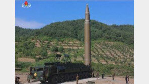 “우리가 이전에 한번도 본적 없는 미사일” 美국방부 재진입체 존재도 확인