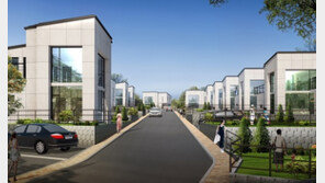 ‘김포 타운하우스 샐빛마을’ 61가구 분양