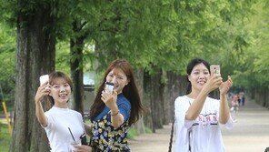 [호남제주]담양 메타세쿼이아길 찾은 관광객들