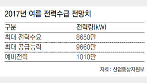 올여름 전기수급 안정적… 예비율 11.7%