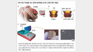 [역사와 함께해온 성균관대]창의성과 독립성을 존중하는 연구실 분위기… 28세 대학원생, 네이처지 논문 주저자로 올라 