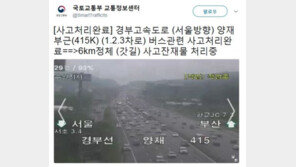 국토부 “경부고속도로 사고처리 완료…잔재물 처리중”