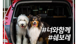 쉐보레 인스타그램 계정 오픈 특별 이벤트