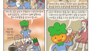 [만화로 보는 건강한 여름나기]여름철 온열 질환 주의보… “선글라스-선크림 꼭 챙기세요”