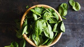 삼겹살 값 9.6% ‘껑충’…시금치 오이 호박 등 신선식품도 급등