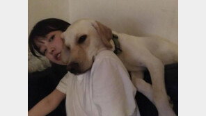 아이유, 반려견과 함께한 훈훈한 일상 공개 “역대급 여친짤” “최강 귀여움”