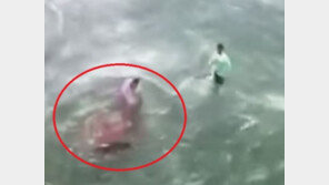 [영상]식인 뱀상어 새끼, 사람 손 ‘덥석’…주변 피바다