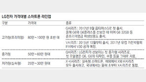 LG, 중가폰 ‘Q6’공개… 스마트폰 라인업 확대
