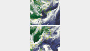 롤러코스터 장마… 제트기류에 남북 오르내리며 물폭탄