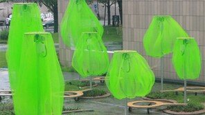 환경 안 다치게 스윽 가져다 놓다… 미술관 마당에 ‘버섯모양 녹색 그늘’