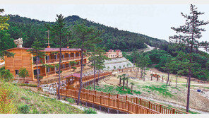 천편일률 자연휴양림이 확 달라졌다