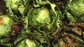 [헬스동아]녹색 채소 섭취해 염증 조절 유전자 활성화해야 