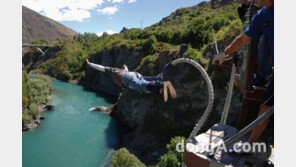 “청량한 자연 속 거칠고 짜릿한 매력”…뉴질랜드 오감 번쩍 액티비티 여행