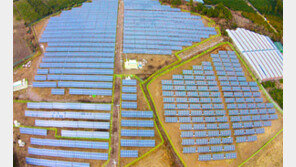 출발부터 삐걱거리는 제주 ‘태양광 전기농사’
