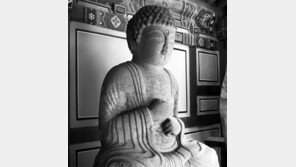 전국 발품… 사진 촬영에만 8년… 국내 비로자나불 157좌 모두 담다