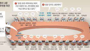 정식안건 아닌 막판 구두보고… 의견 밝힌 장관은 1명뿐
