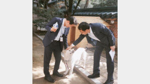 “우쭈쭈, 쓰담쓰담”…청와대, 퍼스트 도그 ‘마루’ 근황 공개