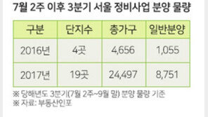 규제강화 이후 3분기 서울 정비사업 8700가구 분양