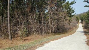 [화제의 분양현장]난지해수욕장 앞 위치 ‘희소성’ 