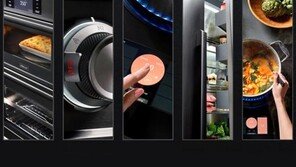 가전시장은 프리미엄 넘어 '초'프리미엄으로... '작품'이 되는 가전