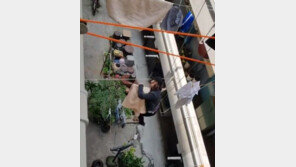 이시영 “임신 14주차, 드라마 피해주기 싫어 말 안해”…“와이어 액션 어떻게?”