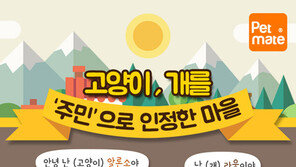 고양이, 개를 ‘주민’으로 인정하는 마을