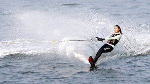 “태안군 곰섬서 해양 수상쇼 즐기세요”