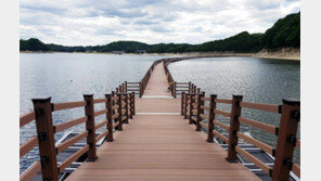 안동시 도산면 일대 탐방로 10월 완공