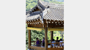 기와집 정자에서 시원한 피서