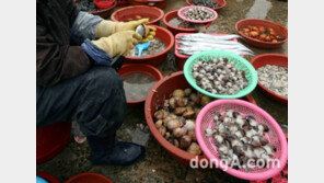 한국소비자원 추천 ‘여름철 건강한 식생활 가이드’