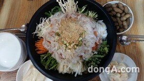 얼음 가득 물회 한 그릇, 대구 수성구 횟집 탐방