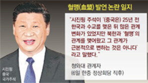 [단독]시진핑 ‘北과 혈맹’ 말한적 없는데… 靑 잘못된 해석으로 혼선