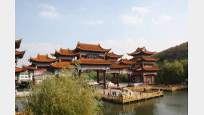 [여행,나를 찾아서]조금 더 특별하게 즐기는 추석 황금연휴 이색 페리여행 