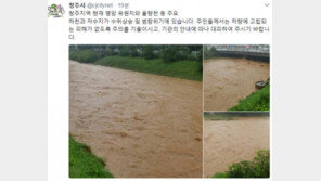 “시내에 얕은 강이” “가게 문 안 열려” “강 아니라 도로임” 청주 폭우에 SNS ‘들썩’