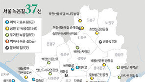 물소리 바람소리… 숲길 걸으니 더위 ‘싹’